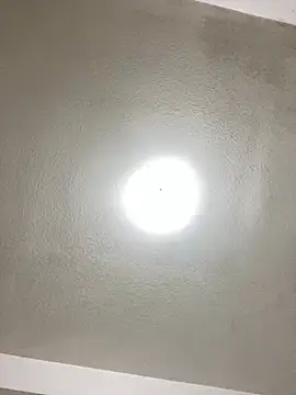 islandvybee55 online show from January 22, 2025, 1:10 am