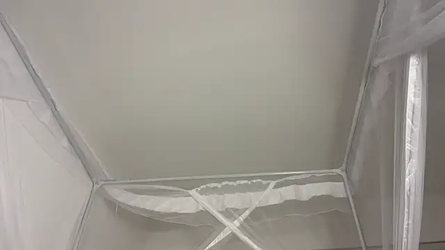 shandiloveslemonss online show from December 20, 2025, 8:06 am