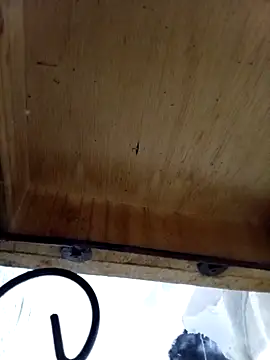 Snapshot of DaniSexFlow chatting on October 13, 2025, 4:36 am DaniSexFlow online show from October 13, 2025, 4:36 am