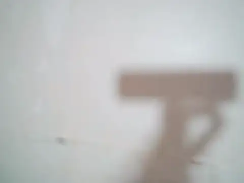 Indian sunshine online show from November 25, 2025, 5:19 am