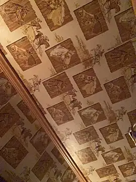 Snapshot of Tonybaloney1972 chatting on February 11, 2025, 3:50 am Tonybaloney1972 online show from February 11, 2025, 3:50 am