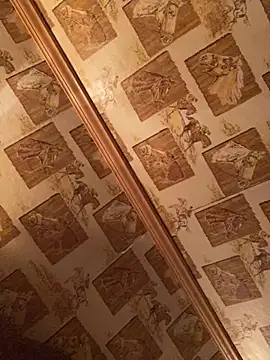 Snapshot of Tonybaloney1972 chatting on February 1, 2025, 3:41 am Tonybaloney1972 online show from February 1, 2025, 3:41 am