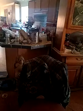 Snapshot of wilsons12 chatting on November 28, 2025, 8:09 pm wilsons12 online show from November 28, 2025, 8:09 pm