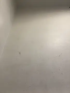 Snapshot of honeybrow chatting on January 8, 2025, 9:55 pm honeybrow online show from January 8, 2025, 9:55 pm