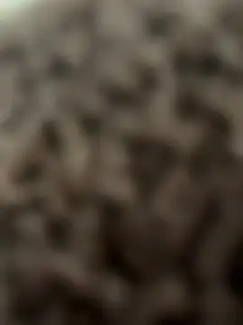 bumpinthat online show from February 14, 2026, 12:11 am