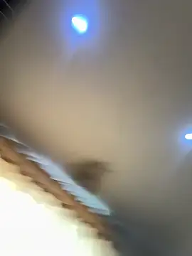 pawmistry online show from February 11, 2026, 6:41 pm