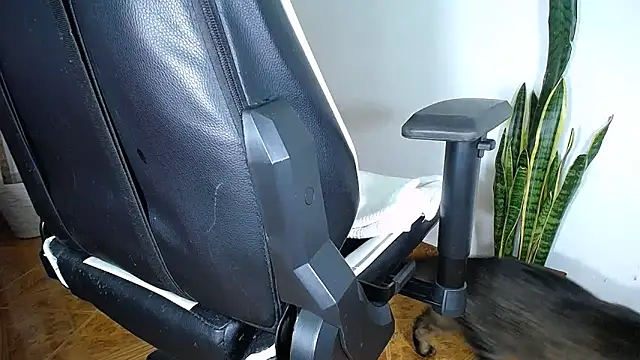 Snapshot of diamond_black00 chatting on March 19, 2025, 12:04 am diamond black00 online show from March 19, 2025, 12:04 am