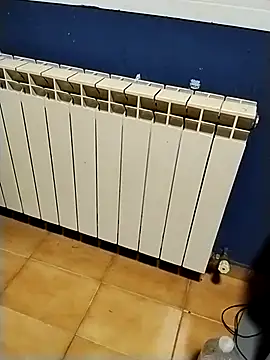 minitranca online show from January 9, 2026, 7:32 pm