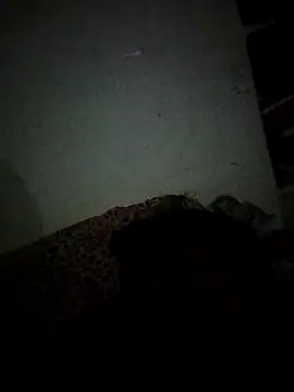 Snapshot of Karthik924 chatting on February 21, 2025, 5:09 pm Karthik924 online show from February 21, 2025, 5:09 pm