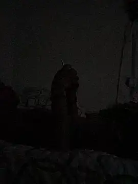 Johnras121 online show from April 11, 2026, 12:40 am