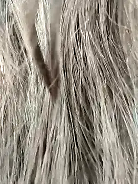 pojahoty online show from December 2, 2025, 12:44 am