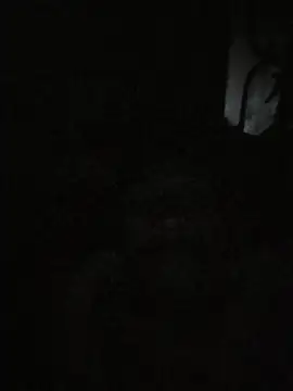 arppyyyxx online show from January 11, 2026, 11:00 pm