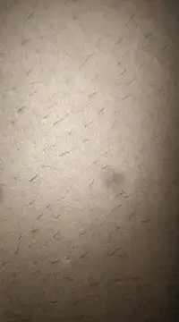 rohitlov150 online show from March 11, 2025, 12:50 pm