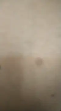 rohitlov150 online show from February 13, 2025, 11:50 am