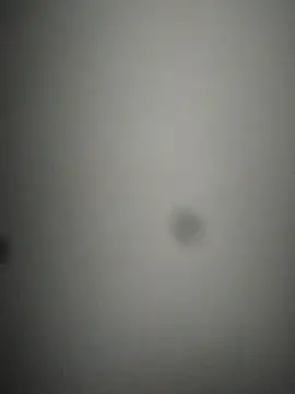 rohitlov150 online show from February 24, 2025, 2:40 am