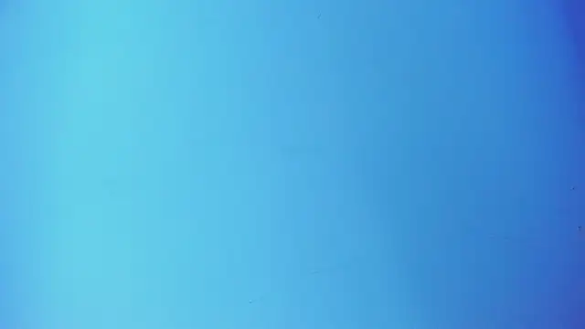  hairybeard  online show from February 25, 2025, 7:20 am