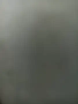 Snapshot of wildfox566 chatting on March 30, 2026, 3:41 am wildfox566 online show from March 30, 2026, 3:41 am