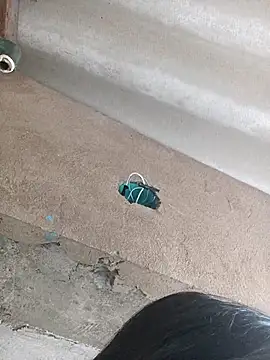 Little Pau Dirty online show from October 27, 2025, 11:11 am