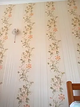 PanbaPanna online show from April 28, 2026, 12:53 pm