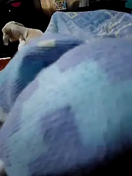 Camilo-31RI online show from April 3, 2026, 7:20 pm