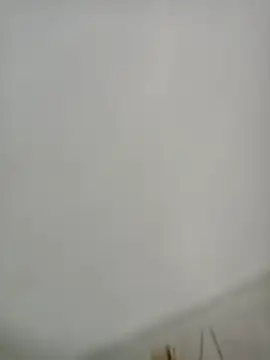 Snapshot of Elber24 chatting on December 4, 2025, 4:33 am Elber24 online show from December 4, 2025, 4:33 am