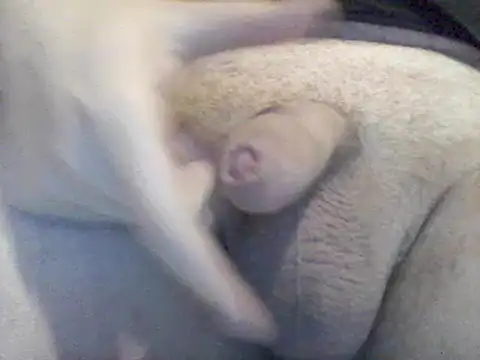 Lovelabite2 online show from February 17, 2025, 5:12 pm