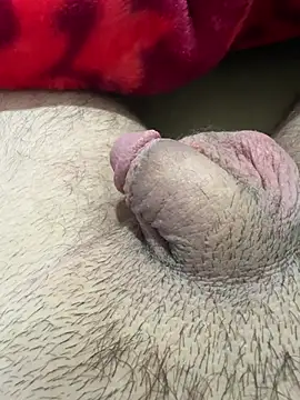 Snapshot of TheArabicGuyx chatting on February 13, 2026, 9:48 pm TheArabicGuyx online show from February 13, 2026, 9:48 pm