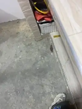 Snapshot of macg96 chatting on December 20, 2025, 8:06 am macg96 online show from December 20, 2025, 8:06 am