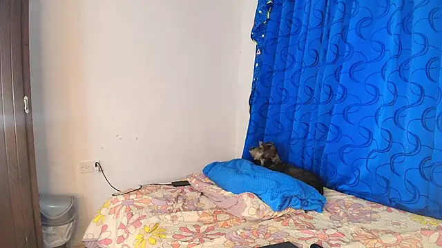 Oh Tique online show from November 14, 2025, 7:50 pm