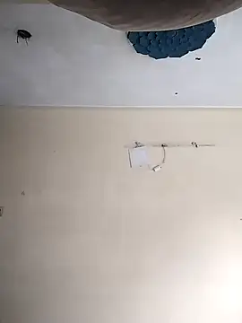 Snapshot of heartless__95 chatting on October 20, 2025, 3:30 am heartless 95 online show from October 20, 2025, 3:30 am