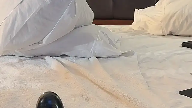 wheresando1 online show from September 24, 2025, 1:39 pm