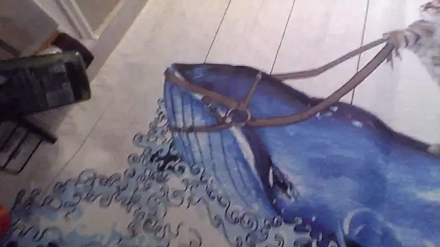 clitstitsandbongrips online show from September 16, 2025, 6:03 am