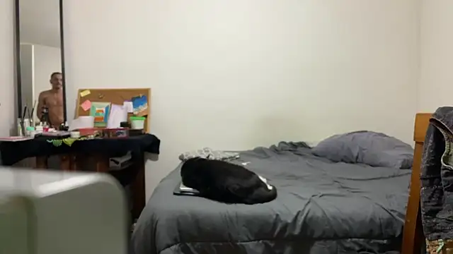 Snapshot of villanocat chatting on December 20, 2024, 5:04 am villanocat online show from December 20, 2024, 5:04 am