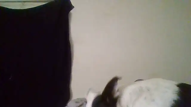 Snapshot of rosequartz chatting on January 14, 2026, 4:05 am rosequartz online show from January 14, 2026, 4:05 am