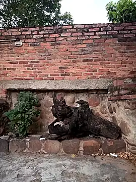 Snapshot of sweet_outdoor_charm chatting on November 27, 2025, 8:20 pm sweet outdoor charm online show from November 27, 2025, 8:20 pm