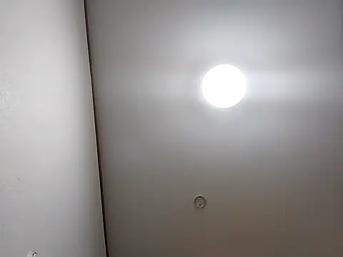 SAITO-YASUYUKI7 online show from January 19, 2025, 1:01 pm