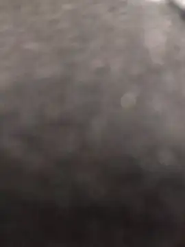 sara pineros online show from February 11, 2025, 6:22 pm