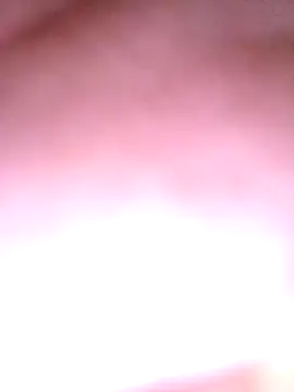 Snapshot of viniciusbon chatting on October 31, 2025, 6:54 am viniciusbon online show from October 31, 2025, 6:54 am