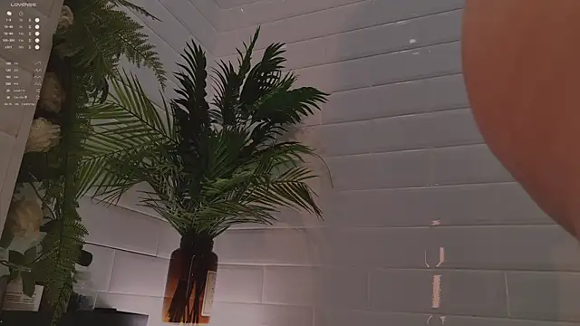 MichaellaMoon online show from December 3, 2025, 2:16 pm