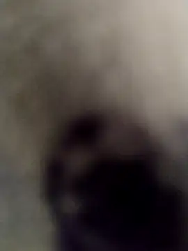 krishhyd69 online show from February 22, 2025, 3:01 am