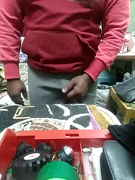 ShelfyOfferer online show from February 17, 2025, 11:54 pm