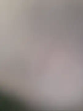 PunchedNorvasc online show from December 4, 2025, 9:19 am