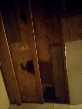 Snapshot of beliqi chatting on December 15, 2024, 1:24 am beliqi online show from December 15, 2024, 1:24 am