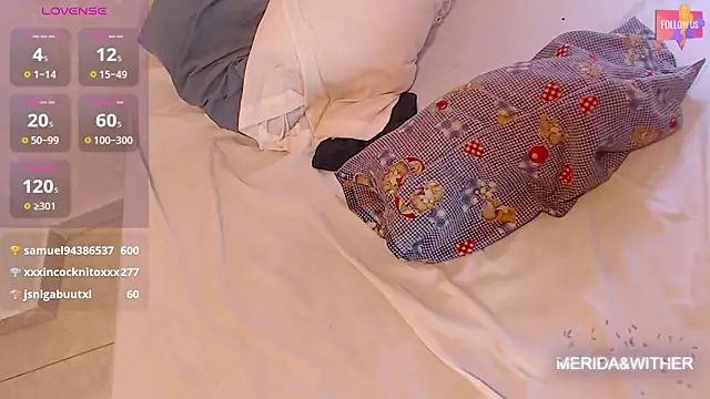 Snapshot of meridandwither chatting on February 28, 2025, 1:25 pm meridandwither online show from February 28, 2025, 1:25 pm