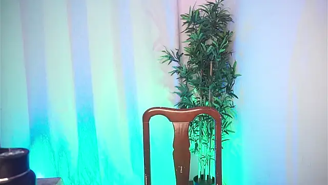 Snapshot of dam0n_fr0st chatting on February 4, 2026, 8:48 pm dam0n fr0st online show from February 4, 2026, 8:48 pm