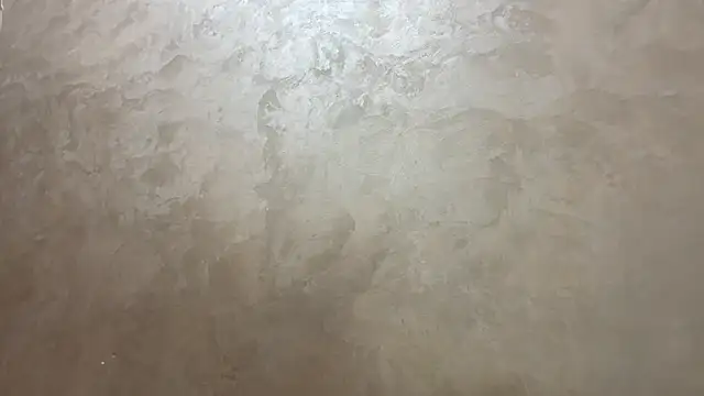 CaitlinaJayne23 online show from November 8, 2025, 4:05 am