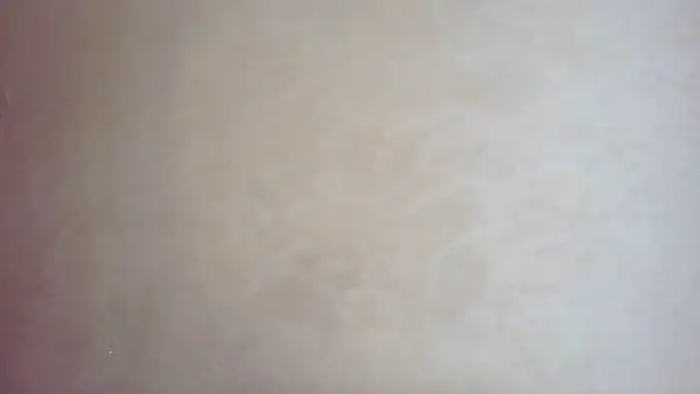 CaitlinaJayne23 online show from September 19, 2025, 5:44 am