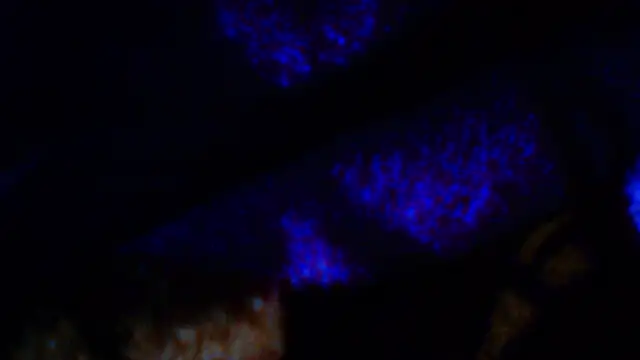 penesillo79 online show from December 18, 2025, 4:28 am