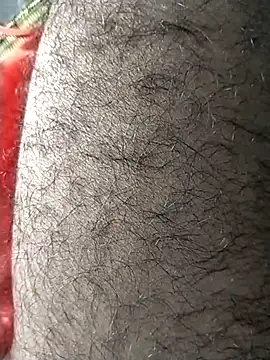 jellydicks online show from February 13, 2026, 1:55 pm