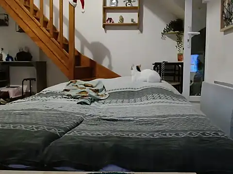 Snapshot of Lauzo21 chatting on December 5, 2025, 6:34 am Lauzo21 online show from December 5, 2025, 6:34 am